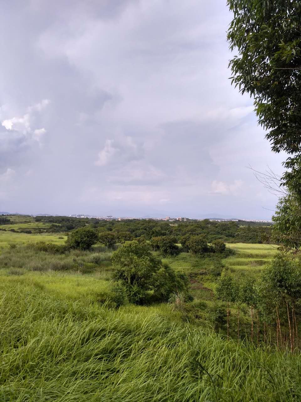 狐狸石山顶